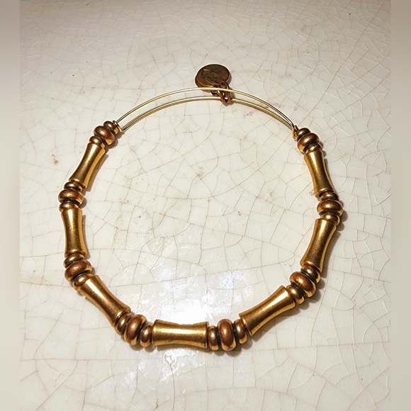 Alex and Ani gold tone bamboo bracelet bangle bar rafaelia - Picture 4 of 4